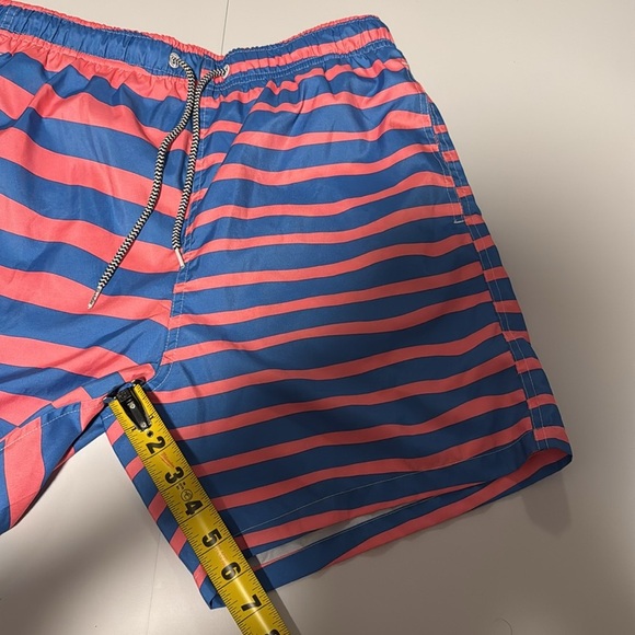 Striped Blue and Pink Swim Trunks - Picture 2 of 6